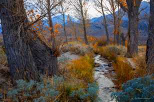 Pinyon Creek-0119